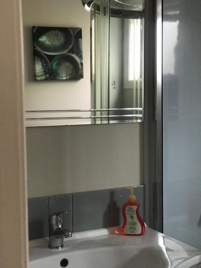 Cosy Caversham Retreat 더니든 외부 사진