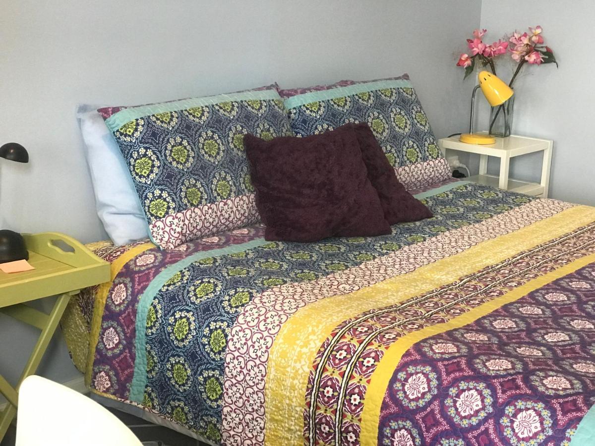 Cosy Caversham Retreat 더니든 외부 사진